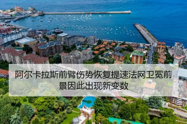 a-er-ka-la-si-qian-bi-shang-shi-hui-fu-ti-su-fa-wang-wei-mian-qian-jing-yin-ci-chu-xian-xin-bian-shu-1-504.jpg