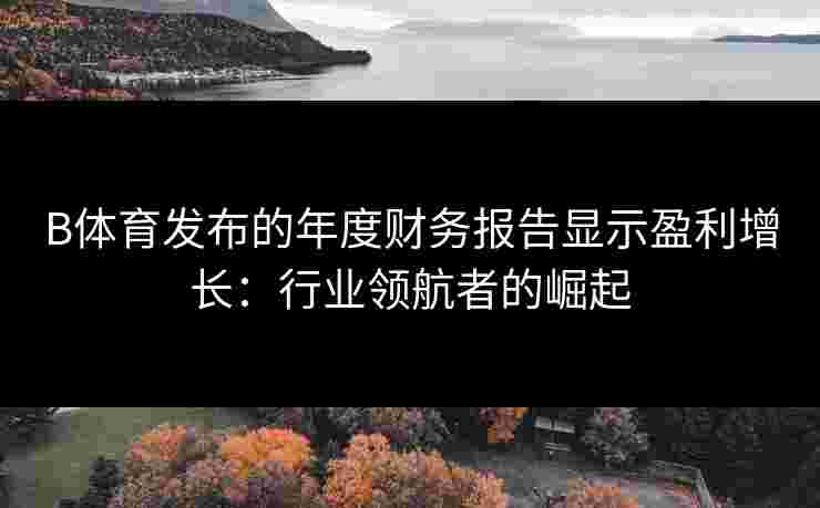 B体育发布的年度财务报告显示盈利增长：行业领航者的崛起