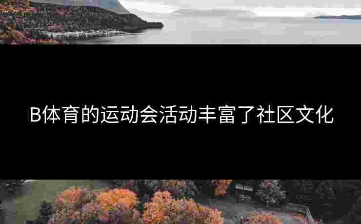 B体育的运动会活动丰富了社区文化