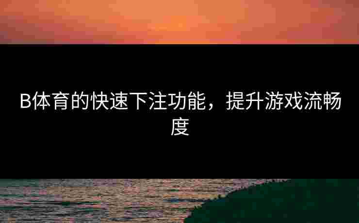 B体育的快速下注功能，提升游戏流畅度