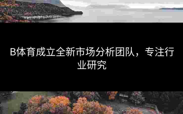 B体育成立全新市场分析团队，专注行业研究