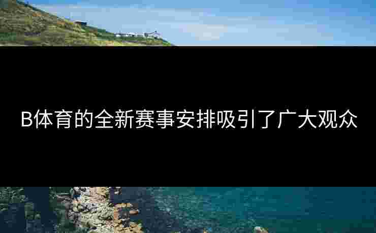 B体育的全新赛事安排吸引了广大观众